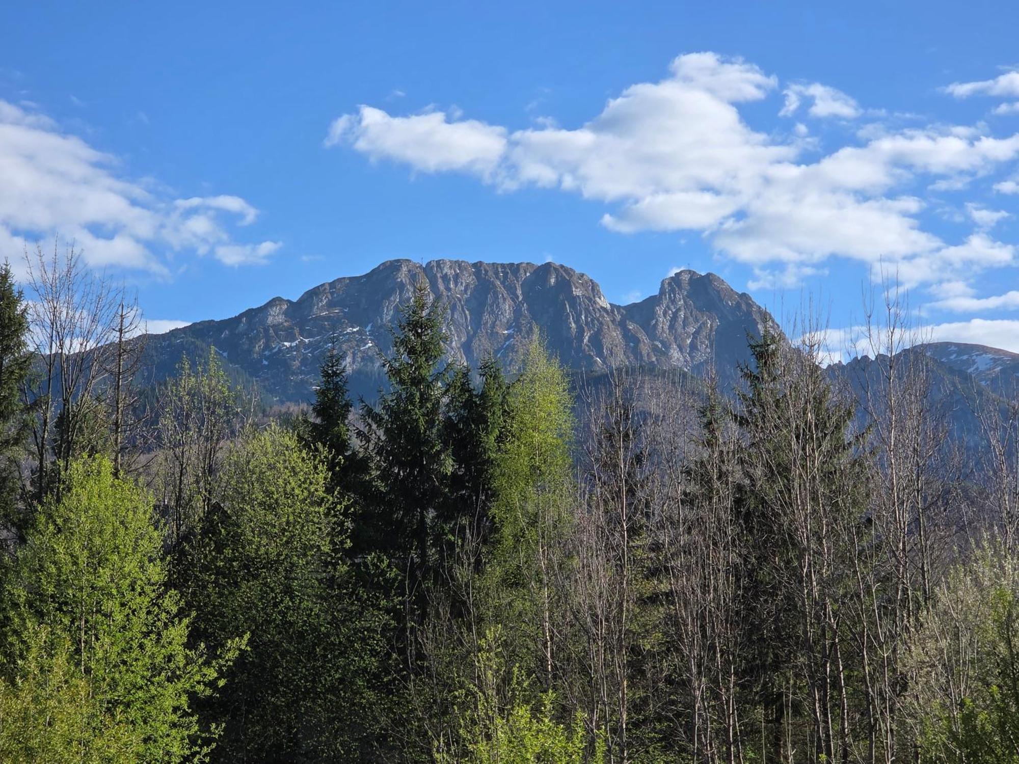Pokoje Goscinne Kasprusie 50A Zakopane Kültér fotó